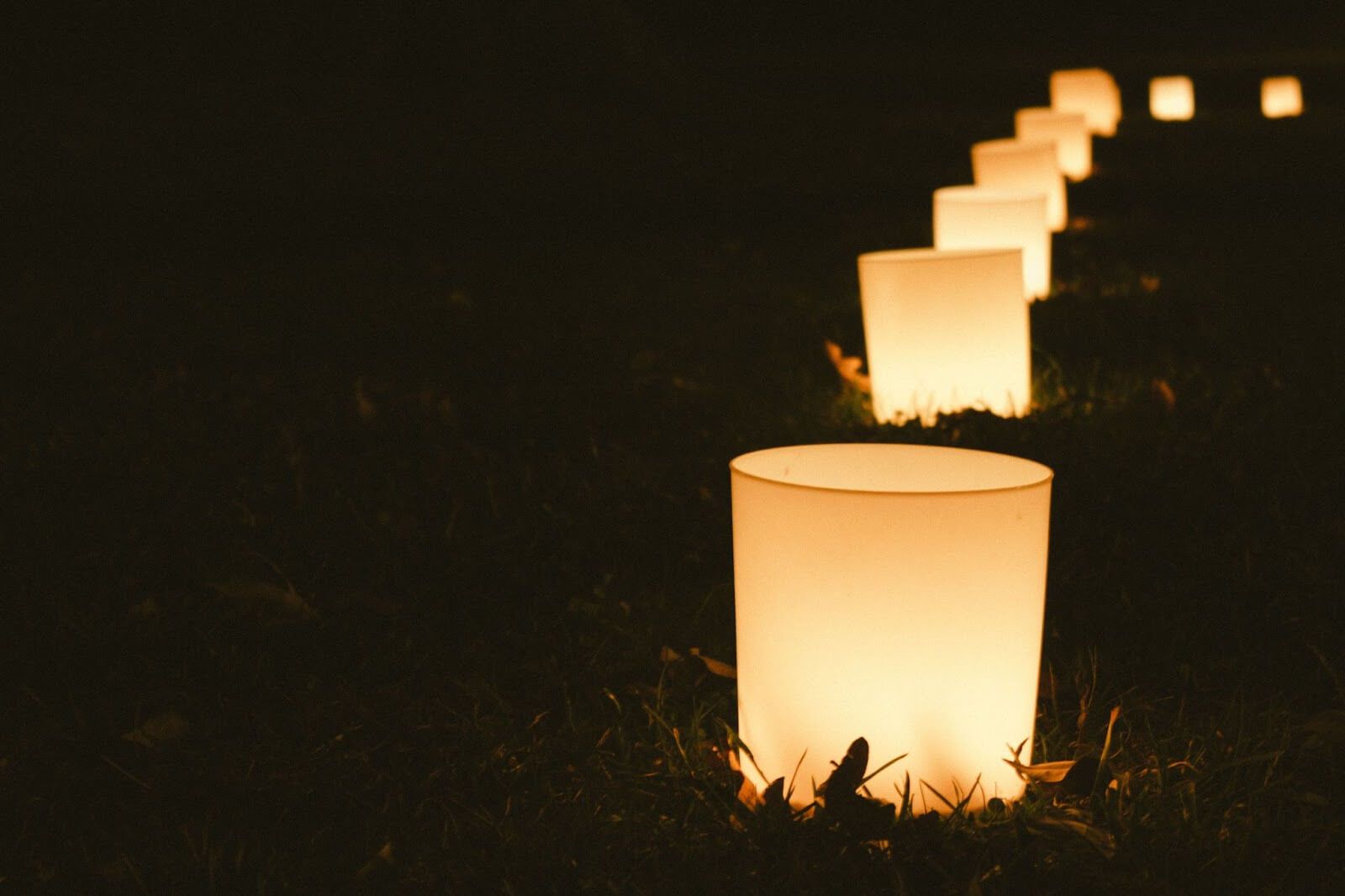 Lights arranged in a line on grass